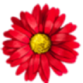 ʻèֱذװֻ_ʻèֱapp