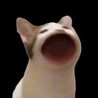 popcatϷ׿