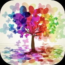 �����������ֽ��׿��