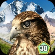 鹰鸟生存模拟器游戏