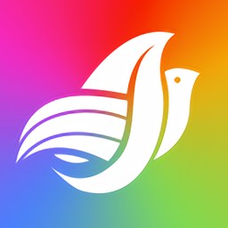 ����ǰ׿��