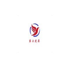 ذ׿