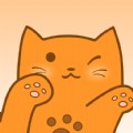 桔猫app最新版