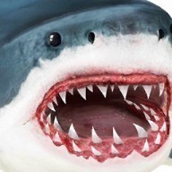 终极鲨鱼攻击手机版下载
