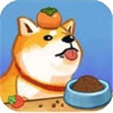 ������ѹ��