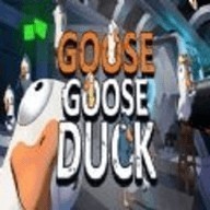 goose goose duckƻֻ