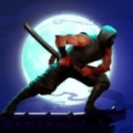 ninja warrior 暗影刺客游戏下载