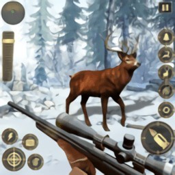 ¹Ϸjungle deer hunting׿