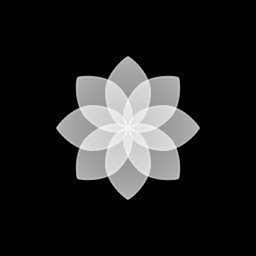 on display手机下载