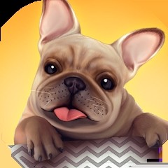 dog shelter׿ v1.0.2.0