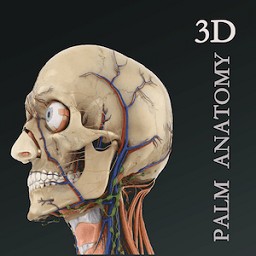 3dapp