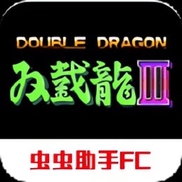 ˫3