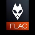 flac���ֲ�����