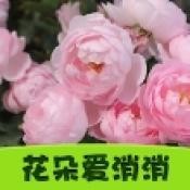 䰮Ϸ v1.0.0.0