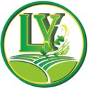 ׿ v1.1.1°