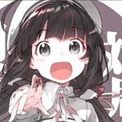 ° v1.1