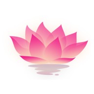 �ɻ������䰲׿�� v1.0.0��Ѱ�