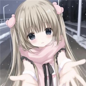 С v1.0