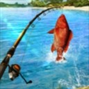 ʵ(fishing clash)°