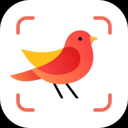 picture_birdʶappذװ