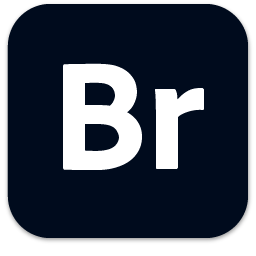 adobe bridge 2025⼤