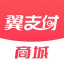 翼支付英文版