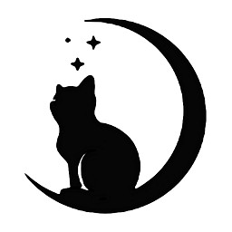 飞猫伴侣官方正版软件