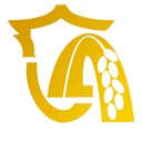 ¡