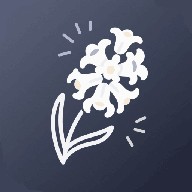 �����ӿ���