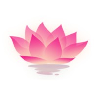 �ɻ�������