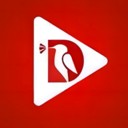 �����糡app v1.1