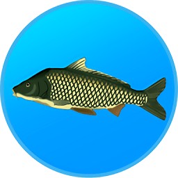 ĵϷ(֧ѧݧߧѧ ҧѧݧܧ)