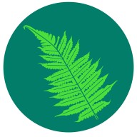 ػ