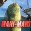 ȫѧ