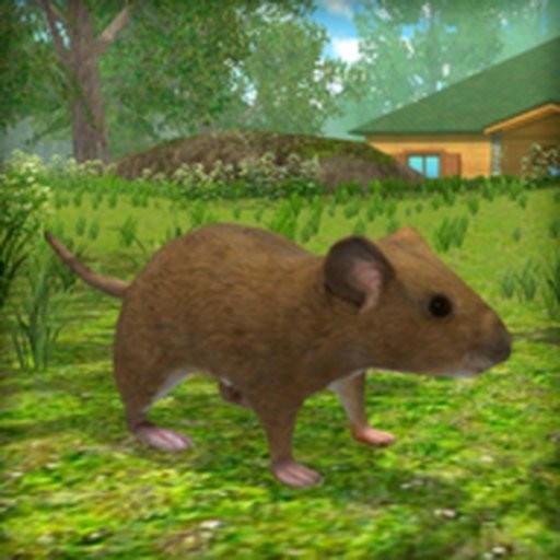 ģ