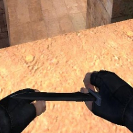Ҫ