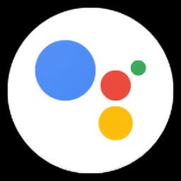 ȸ(google )