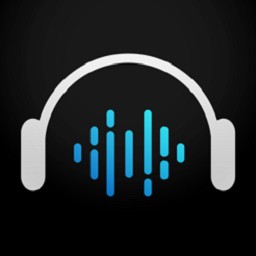 dell audio