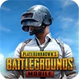 pubgmobileʷ2025°