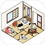 ������ѡ�����İ�