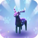 ����Կ����°�