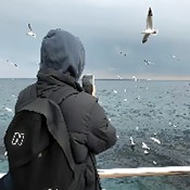 ����������app���°�