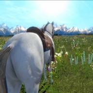 ΰذ׿_