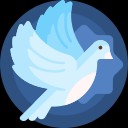 �׸�������app���°�