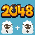 2048����