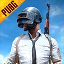 pubg�������������