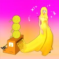 ���÷�װ������