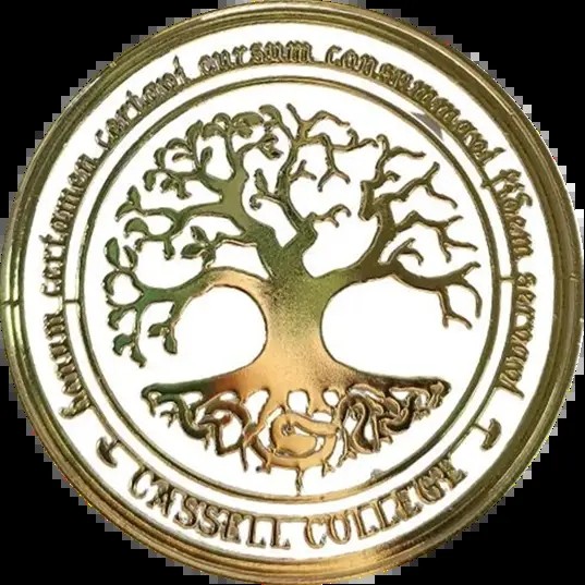 ��ҹ����̳app���°�