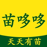 ߶app