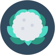 thuay���н���